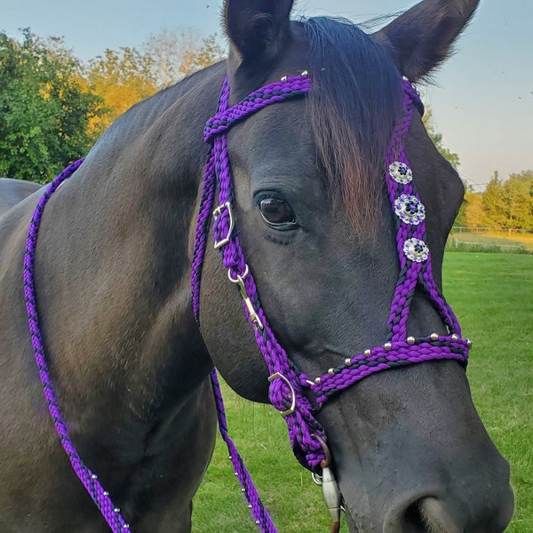 Stunning Hand Braided Halter-Bridle Combo with BLING Conchos Horse Tack, PURPLE w/BLACK  **New**