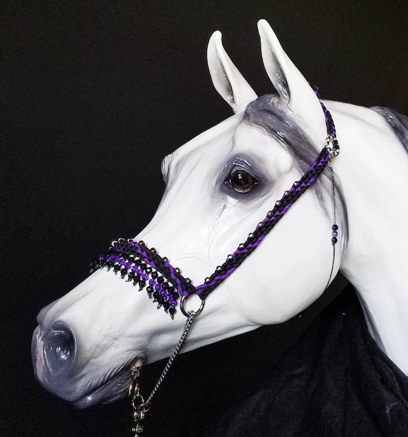 Hand Braided Arabian Style Show Halter Horse Tack BLACK / Etsy