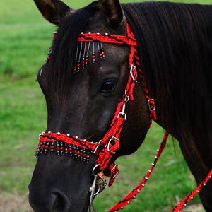 Stunning Hand Braided Halter-Bridle Combo with Beaded Browband, Horse Tack,  RED / BLACK   **New**