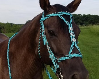 Stunning Hand Braided Halter-Bridle Combo with BLING Conchos Horse Tack, TURQUOISE w/BLACK   **New**