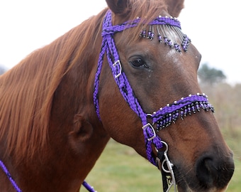 Stunning Hand Braided Bridle with Beaded Browband and noseband, Horse Tack,  PURPLE / BLACK   **New**