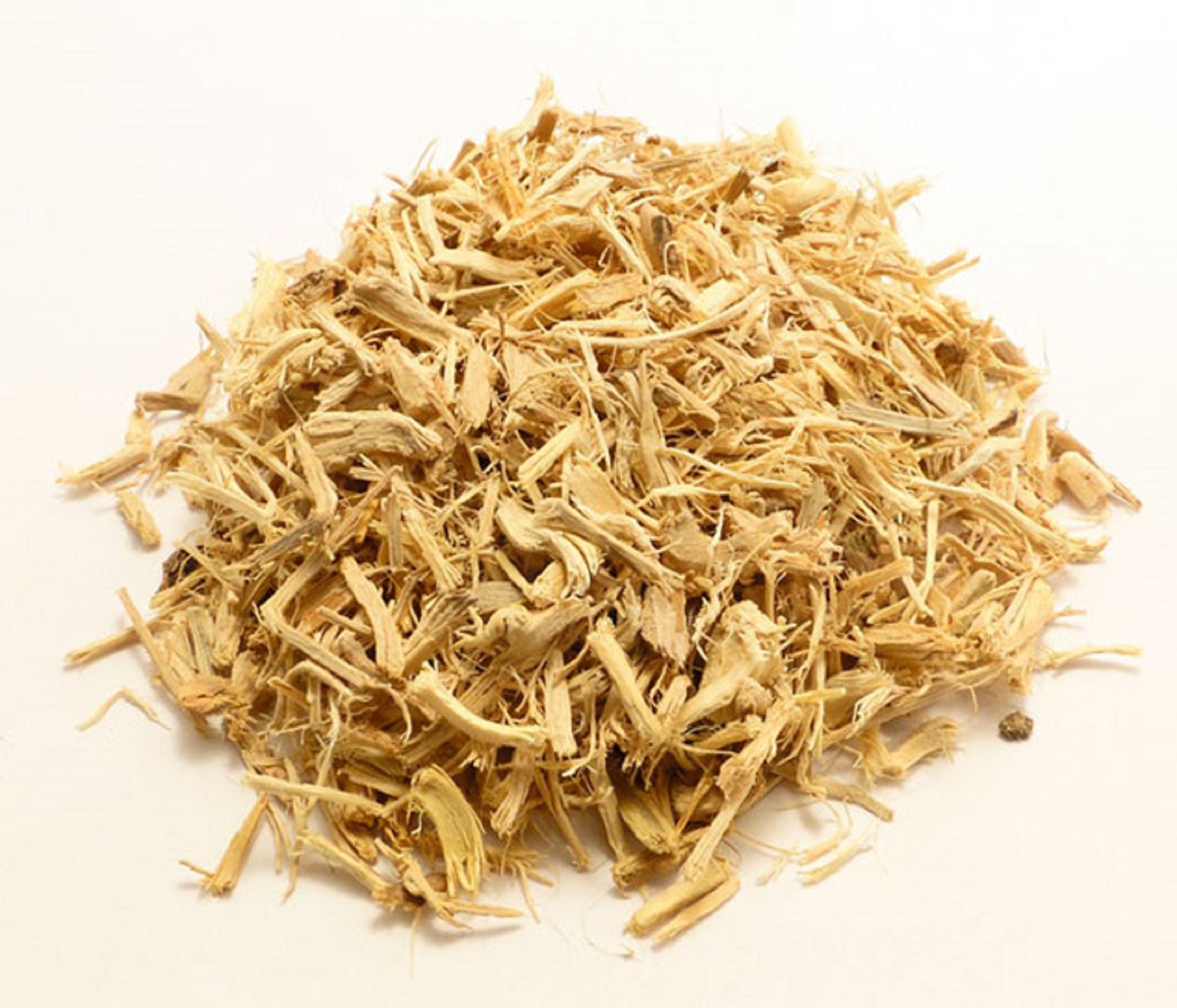 корень элеутерококка. корень элеутерококка. элеутерококк колючий корневища. элеутерококк колючий корень. элеутерококк колючий корневища.