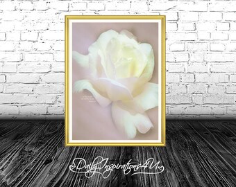 Modern Wall Art, Minimalist, Floral, Rose, Large Poster, Printable, Wall Decor, Digital Download  / (G1108-1)