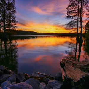 May include: A scenic sunset over a still lake with a reflection of the colorful sky in the water. Silhouetted trees line the shore, and a large piece of driftwood sits in the foreground.