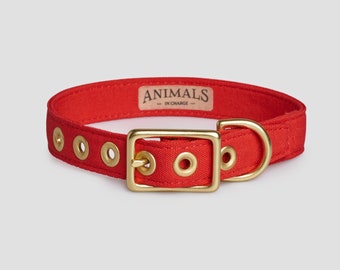 Red + Brass Recycled Materials Dog Collar // Buckle Collar // Eco Dog Collar - Vegan Dog Collar