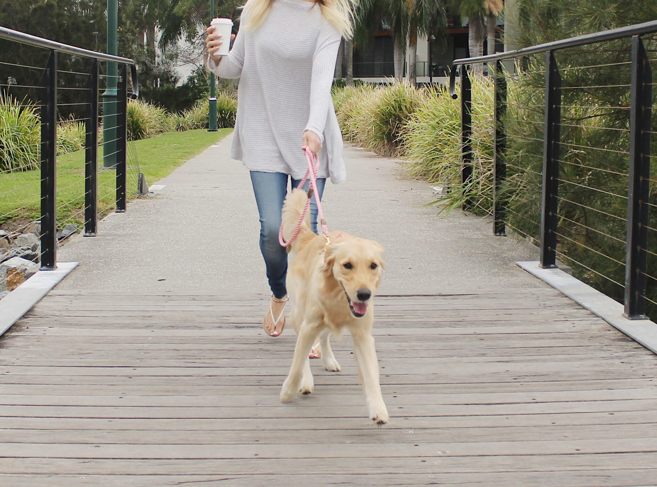 Rose Pink Rope Dog Leash // Rope Dog Lead Strong Dog Leash Etsy