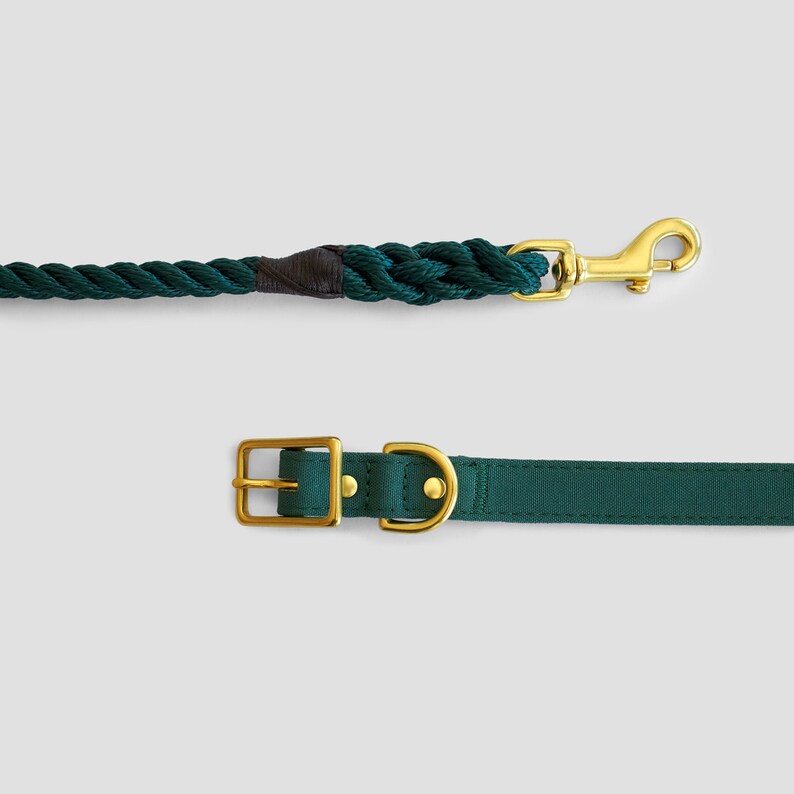 Puede incluir: Una correa de perro de cuerda verde oscuro con un clip de metal dorado y un collar de perro de tela verde oscuro a juego con una hebilla de metal dorado.