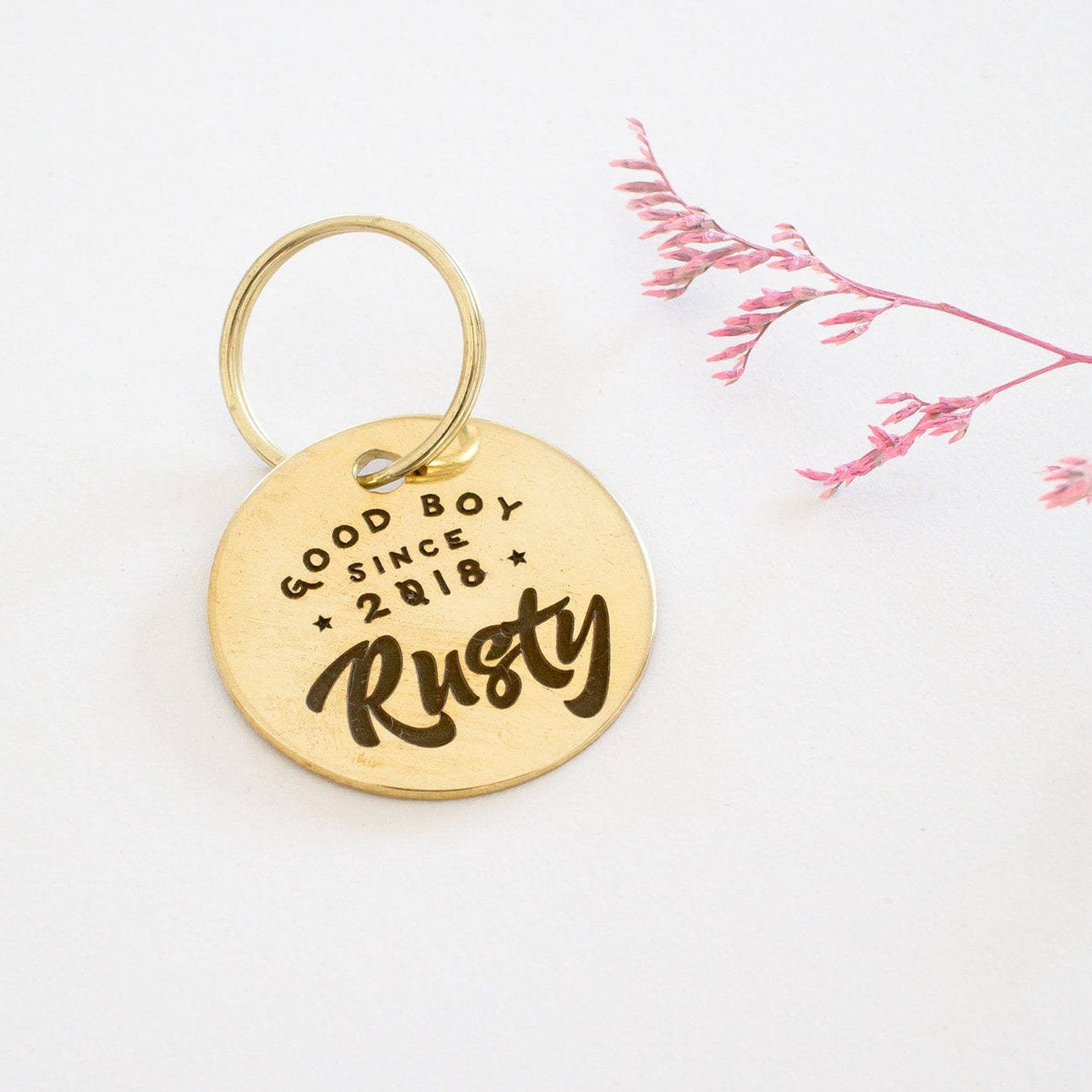 21+ Cool Dog Tags From Australian Creatives