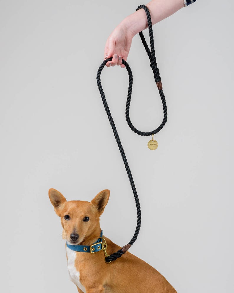 starkes beruhigungsmittel hund