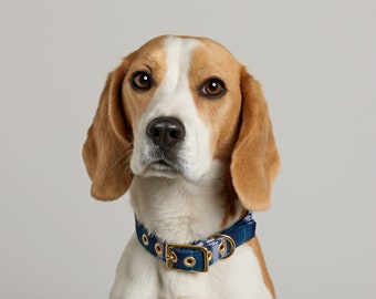 Blue Tartan + Brass Salvaged Materials Dog Collar // Buckle Collar // Eco Dog Collar - Vegan Dog Collar