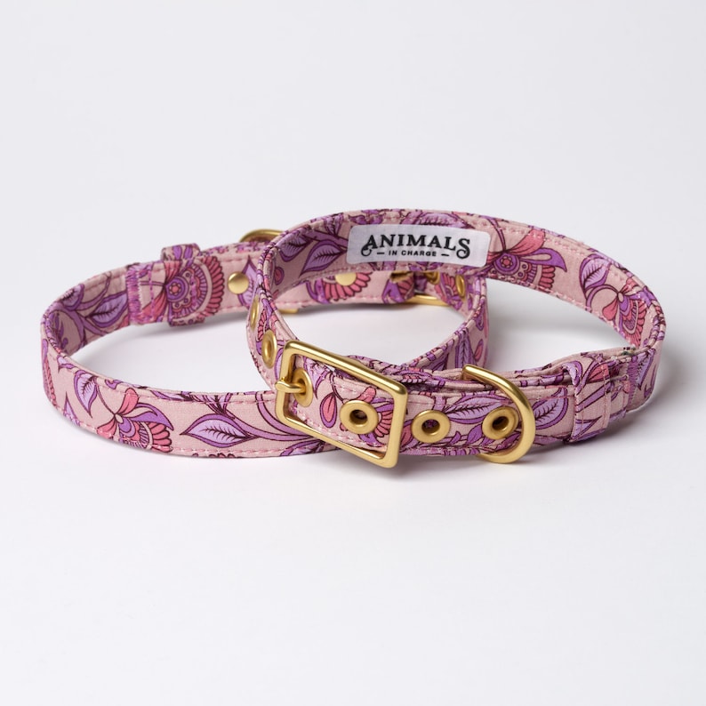 Bohemian Sunrise Brass Dog Collar // Fabric Dog Collar Buckle Collar Australia Floral dog collar image 2