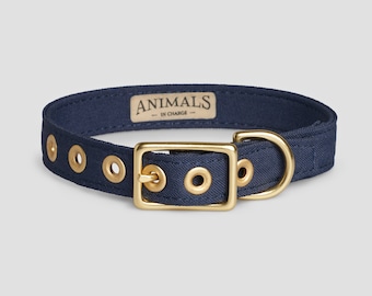 Navy + Brass Recycled Materials Dog Collar // Buckle Collar // Eco Dog Collar - Vegan Dog Collar