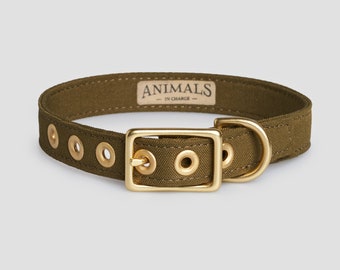 Olive + Brass Recycled Materials Dog Collar // Buckle Collar // Eco Dog Collar - Vegan Dog Collar