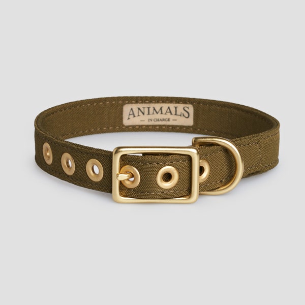 Olive + Brass Recycled Materials Dog Collar // Buckle Collar // Eco Dog Collar - Vegan Dog Collar