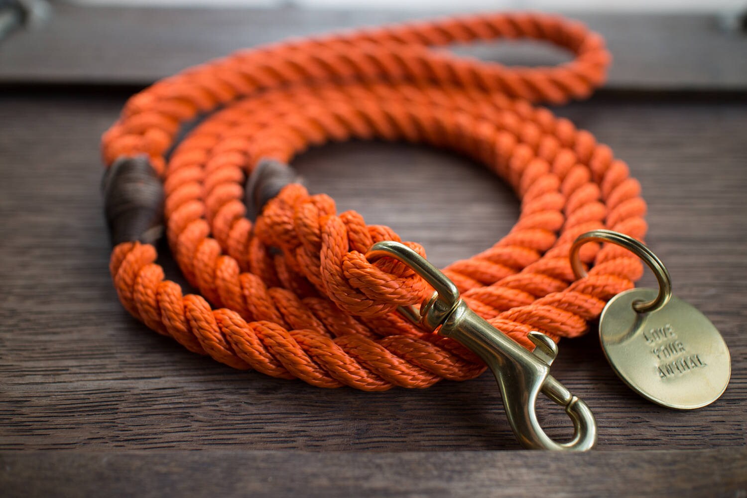 Orange Rope Dog Leash // Rope Dog Lead Strong Dog Leash Etsy