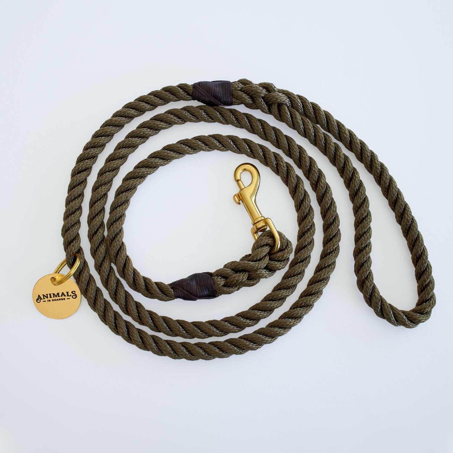 brass dog lead
