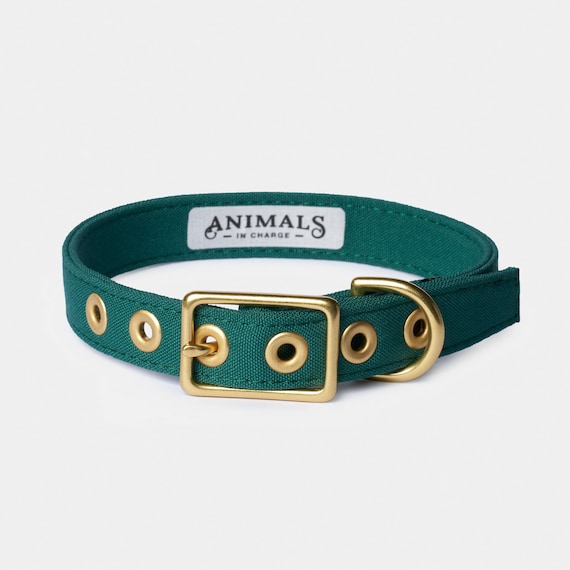 Forest Green Dog Collar - Brass Buckle, Recycled Materials