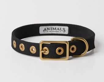 Black + Brass Recycled Materials Dog Collar // Buckle Collar // Eco Dog Collar - Vegan Dog Collar