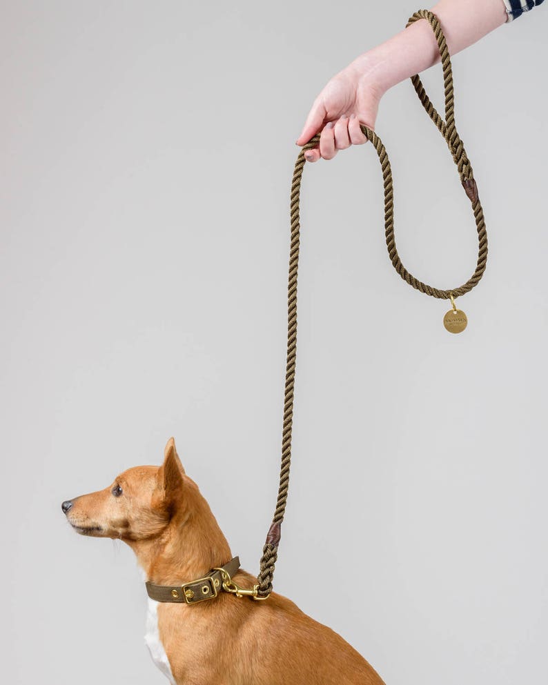 Olive Rope Dog Leash // Rope Dog Lead Strong Dog Leash Etsy