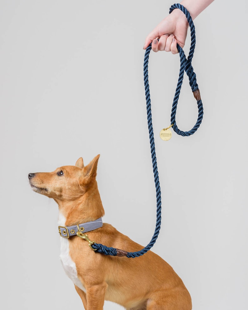 Royal Navy Rope Dog Leash // Rope Dog Lead Strong Dog Leash Brass Dog Leash Australia image 3