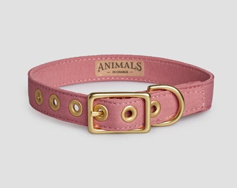 Dusty Pink + Brass Recycled Materials Dog Collar // Buckle Collar // Eco Dog Collar - Vegan Dog Collar