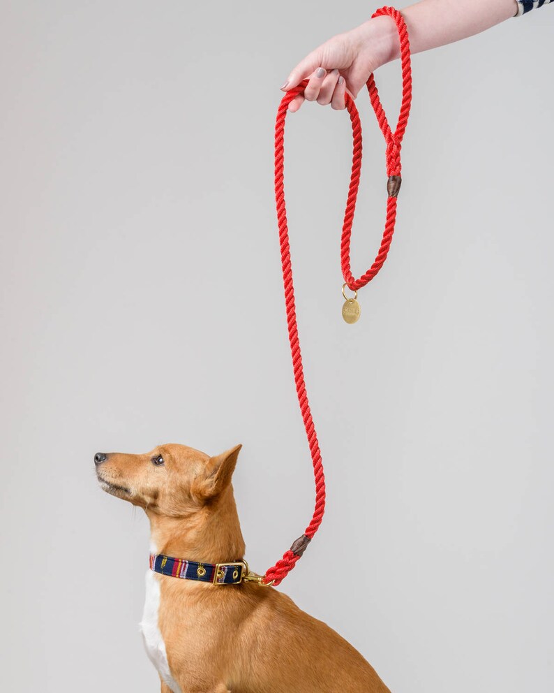 Red Rope Dog Leash // Rope Dog Lead Strong Dog Leash Brass Etsy