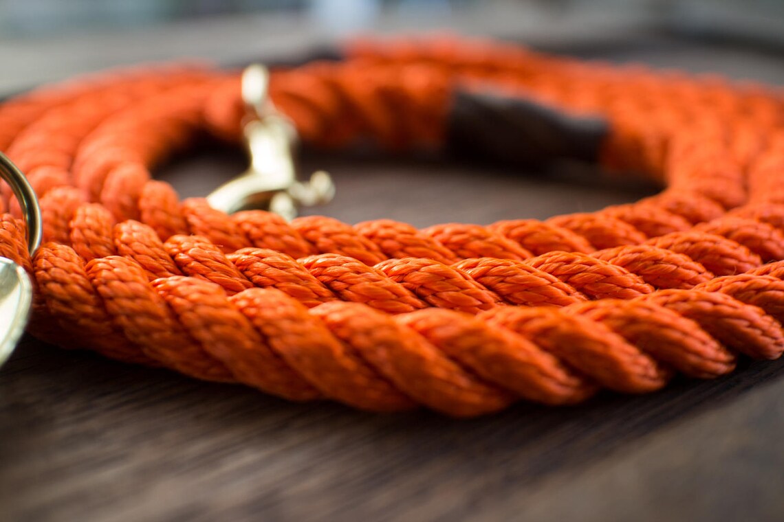 Orange Rope Dog Leash // Rope Dog Lead Strong Dog Leash Etsy