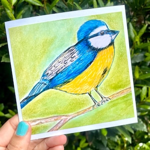 Linda tarjeta para amantes de los pájaros BlueTit / tarjeta de felicitación en blanco para cualquier ocasión / pequeños pájaros salvajes atrevidos / aman la naturaleza / tarjeta de regalo