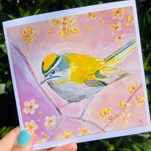 Linda tarjeta para amantes de los pájaros reyezuelos/tarjeta de felicitación en blanco para cualquier ocasión/pequeños pájaros salvajes traviesos/amo la naturaleza/tarjeta de regalo