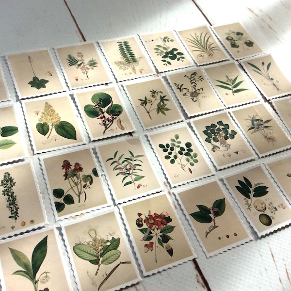 Botanical Stamp Stickers/ Floral Scrapbooking stamps/ Floral Art Journal/ Collage Wildflowers