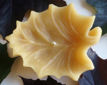 May include: A yellow beeswax candle shaped like a maple leaf. The candle is surrounded by several dark purple and green maple leaves.