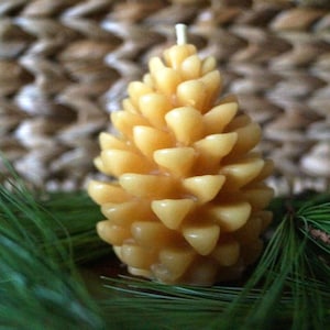 Beeswax Pine Cone Candle, Beeswax Pinecone Candle, Pure Beeswax Candles, Fall Candles,  Winter Candle, Pine Cone Decor, Healthy Candles