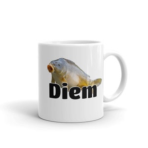 Carpe Diem mug. Funny carp fish pun dad joke seize the day ceramic mug. 11 Fluid ounces