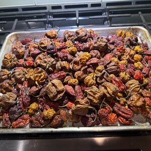 Pu&ograve; includere: Una teglia rettangolare in metallo riempita con una grande quantit&agrave; di peperoncini essiccati e rugosi in varie tonalit&agrave; di rosso, arancione, giallo e marrone scuro. I peperoncini sono raggruppati, mostrando le loro bucce strutturate e avvizzite.