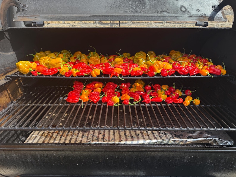 Pu&ograve; includere: Un affumicatore in metallo nero con due griglie interne contenenti una grande quantit&agrave; di peperoncini habanero freschi. I peperoncini, dalle vivaci tonalit&agrave; rosse, arancioni e gialle, sono disposti in file sulle griglie per l'affumicatura.