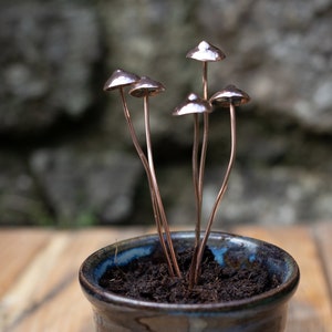 Copper Mushrooms x1