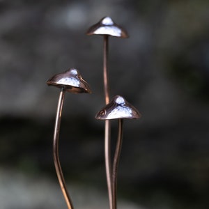 Copper Mushrooms x1 image 2