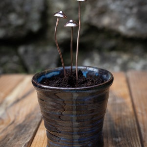 Copper Mushrooms x1 image 7