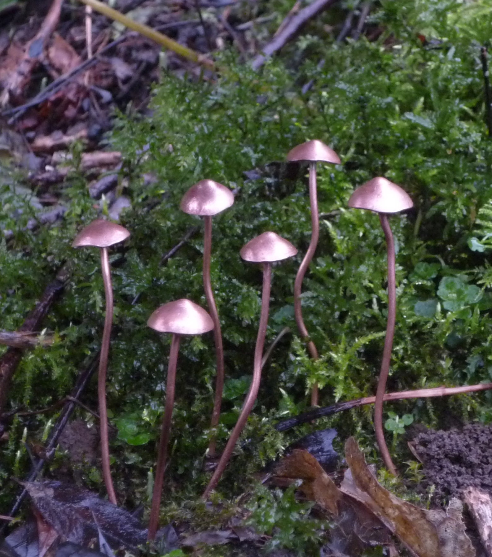 Handmade Copper Mushrooms Etsy UK