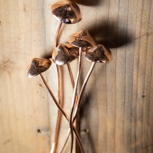 Copper Mushrooms x1 image 6