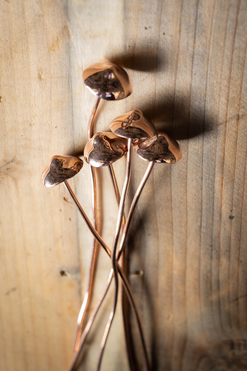 Copper Mushrooms x1 image 6