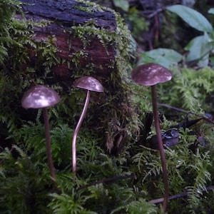 May include: Three small, purple-hued ceramic mushrooms with a smooth, rounded top. The mushrooms are arranged on a bed of green moss.