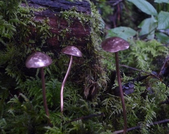 Copper Mushrooms (textured) x1