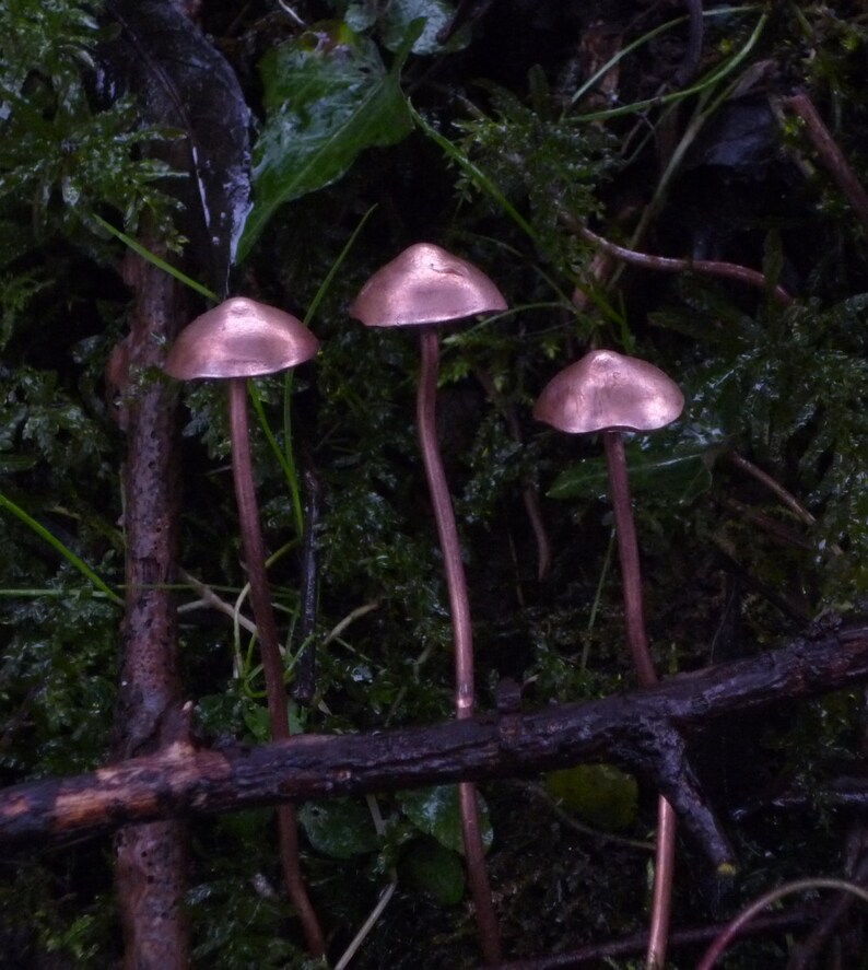Handmade Copper Mushrooms Etsy UK