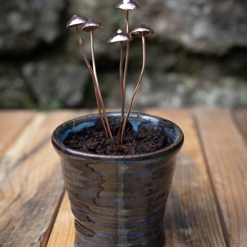 Copper Mushrooms x1