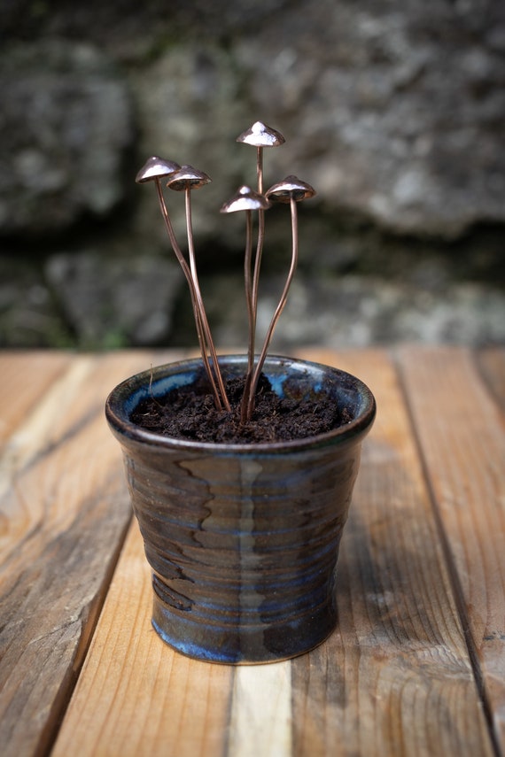 Copper Mushrooms x1