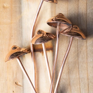 Copper Mushrooms x1 image 4