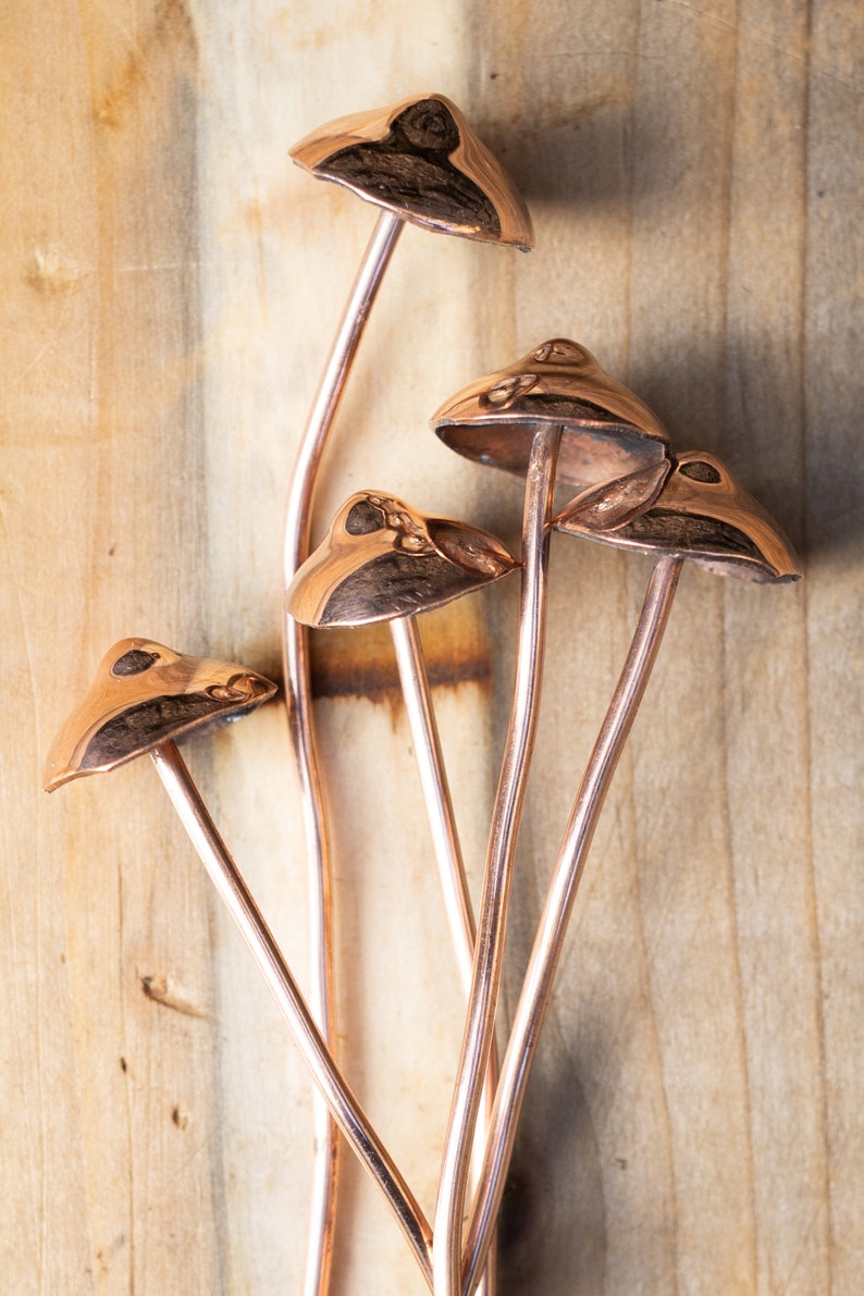 Copper Mushrooms x1 image 4