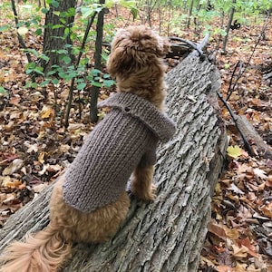 DOG Stretchy Classic Cardigan - KNITTING PATTERN - Beginner Friendly - Instant Download - Design & Creation by Anna Stoklosa