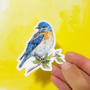May include: A sticker featuring a detailed illustration of a bluebird perched on a branch with green leaves. The bird has blue and orange plumage. The background is a bright yellow.